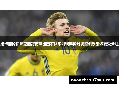 纽卡前锋伊萨克因背伤退出国家队集训瑞典锋线调整俱乐部恢复受关注